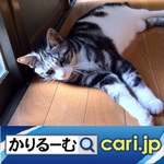 28_96k_cat200707.jpg